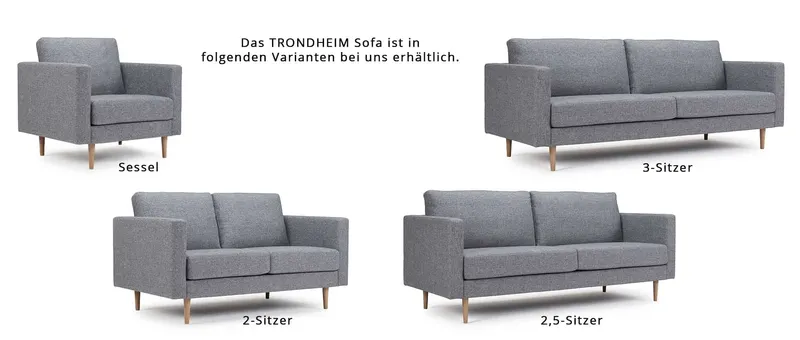 Das TRONDHEIM Designer Sofa gibt es auch als 2-Sitzer, 2,5-Sitzer, 3-Sitzer und als Sessel